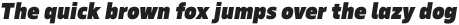 Serca Black Italic otf (900)