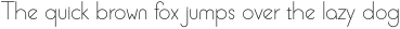 Semab Light otf (300)