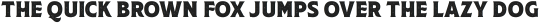 RTCO Flinton Bold Roughen Texture otf (700)