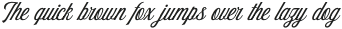 RTCO Flinton Script Demo otf (400)