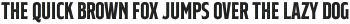 RTCO Flinton Texture otf (400)