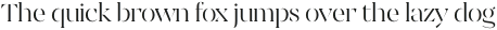 Sincerity Stencil Light otf (300)