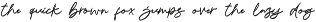 AMIDES - Handwritten preview