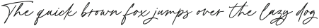 Milkshake Script Thin Regular otf (100)