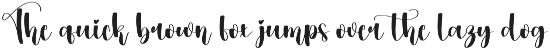 Pumpkin | Script font preview