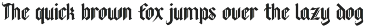 Blackbeer - strong gothic typeface preview