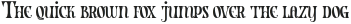 Corte Muerta Regular otf (400)