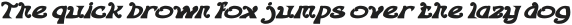 FLOWER GENERATION Bold Italic otf (700)