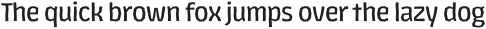 LosLana Niu Essential otf (400)