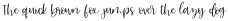 Wyldling Script Regular otf (400)