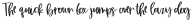Honey Punch Script Regular otf (400)