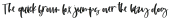 Sweet Toast Script Regular otf (400)