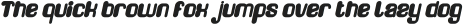 FRIENDLY ROBOT Bold Italic otf (700)