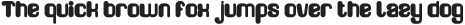 FRIENDLY ROBOT Bold otf (700)