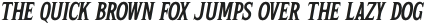 The Goodier Rounded Oblique otf (400)