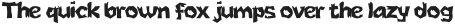 BEKORG THIN otf (100)