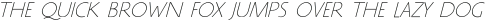 SHADOW Light Italic otf (300)