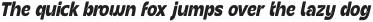 JT Olifer Condensed Slanted Medium otf (500)