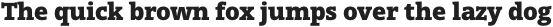 Open Serif Black otf (900)
