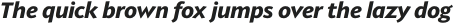 Provan Bold Italic otf (700)