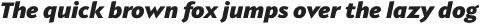 Provan Formal Black Italic otf (900)