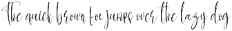 Bundles Script font Collections preview