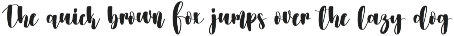 Videography | Handwriten Font preview