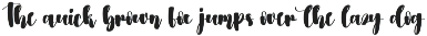 Autography | Handwriten Font preview