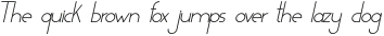 Florida Rose Light Italic ttf (300)