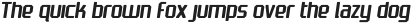 NEXGEN SLD Light Italic otf (300)