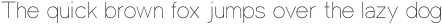 Einer Grotesk Thin otf (100)