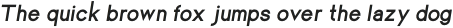 Einer Grotesk Heavy Italic otf (800)