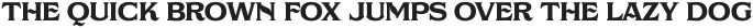 NS Gibswing Serif otf (400)