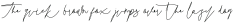 Azura Script Font otf (400)