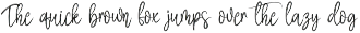 Hamster Signature | Script Font preview
