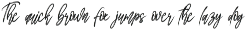 The Black Out | Script Font preview