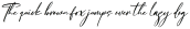 Overlouds otf (400)