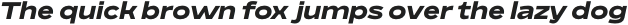 BD Megatoya Extended Black Italic otf (900)
