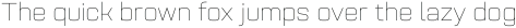 Rouben Thin otf (100)