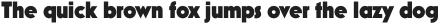 Mostra Nuova Heavy otf (800)