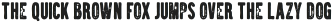 Brawn Bold Rough otf (700)