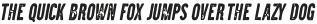 Brawn Italic Rough otf (400)