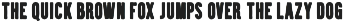 Brawn Handwritten typeface, 40 fonts preview