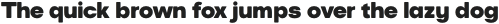 European Sans Pro Extra Condensed ExtBold otf (700)