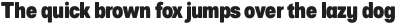 European Sans Pro Condensed Black otf (900)
