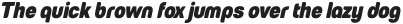 European Soft Pro Condensed Black Italic otf (900)