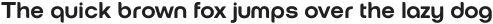 European Soft Pro Narrow Light Italic otf (300)