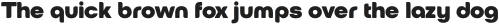 European Soft Pro Normal Regular Italic otf (400)