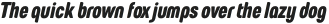 European Soft Pro Normal Light Italic otf (300)