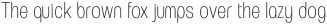 European Soft Pro Extra Condensed Light otf (300)